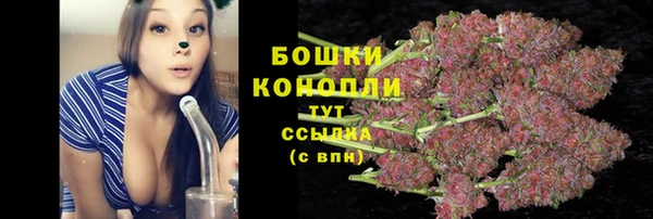 амф Касимов