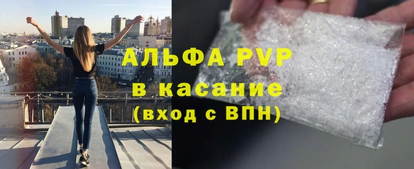 амф Касимов