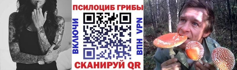 Галлюциногенные грибы GOLDEN TEACHER  Балаково 